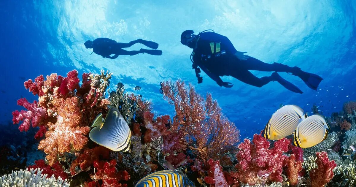 Seize the vibrant spirit of Khanh Hoa Travel